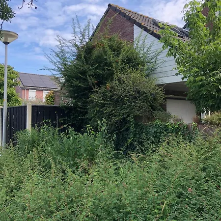 Bed & Breakfast Op De Bongerd, De Tiny House Beleving! 3*