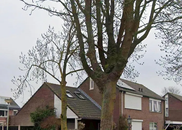 Bed & Breakfast Op De Bongerd, De Tiny House Beleving!